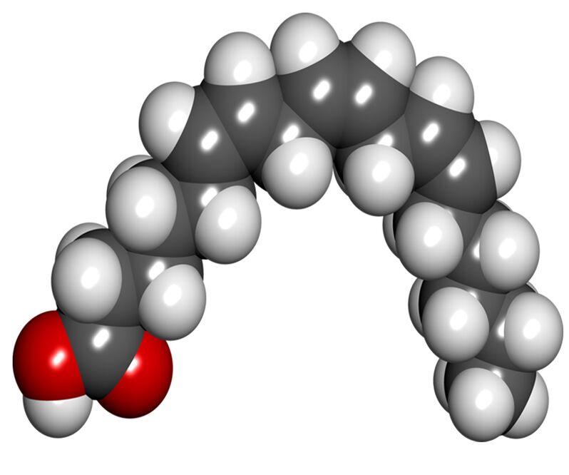 Gamma-linoleno rūgštis „DiAform Plus“